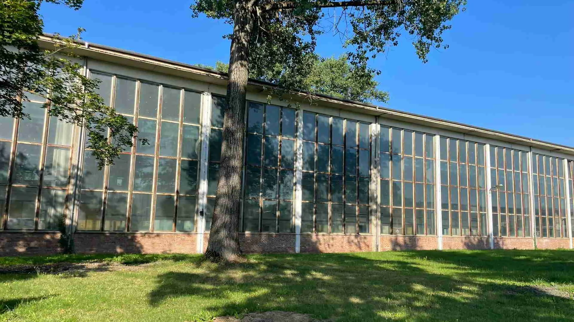 Hall / Production, approx. 2,710 m² in Chemnitz (Altchemnitz)