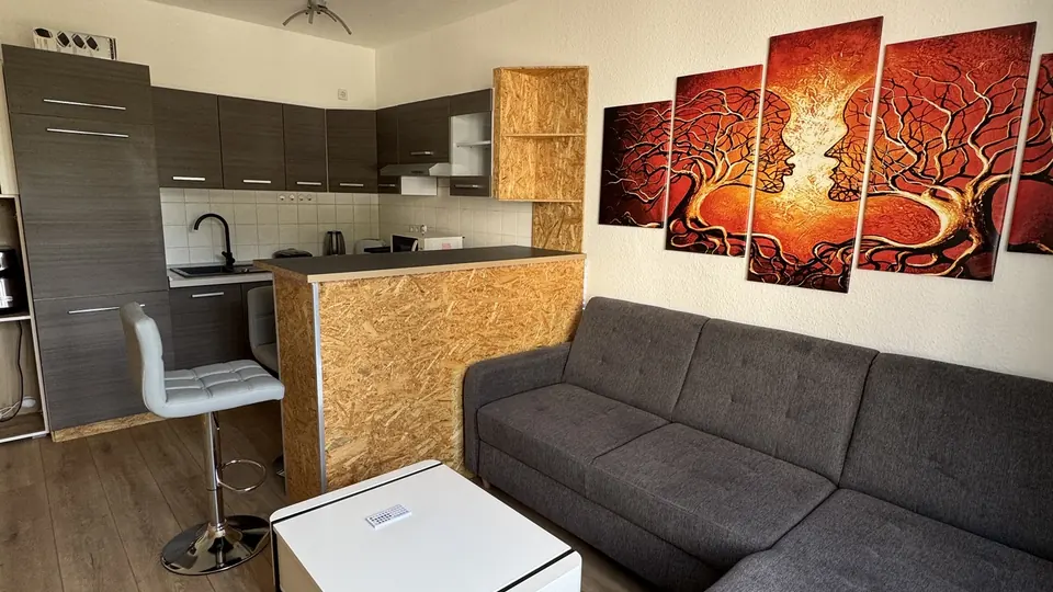 Apartment, 2 Rooms, approx. 34 m² in Chemnitz (Lutherviertel)
