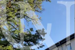 Renovation Impression