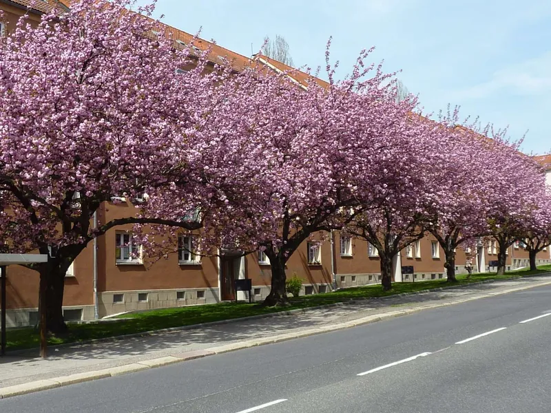 2-Zimmer-Wohnung - Wohnen in Zentrums- und Universitätsnähe