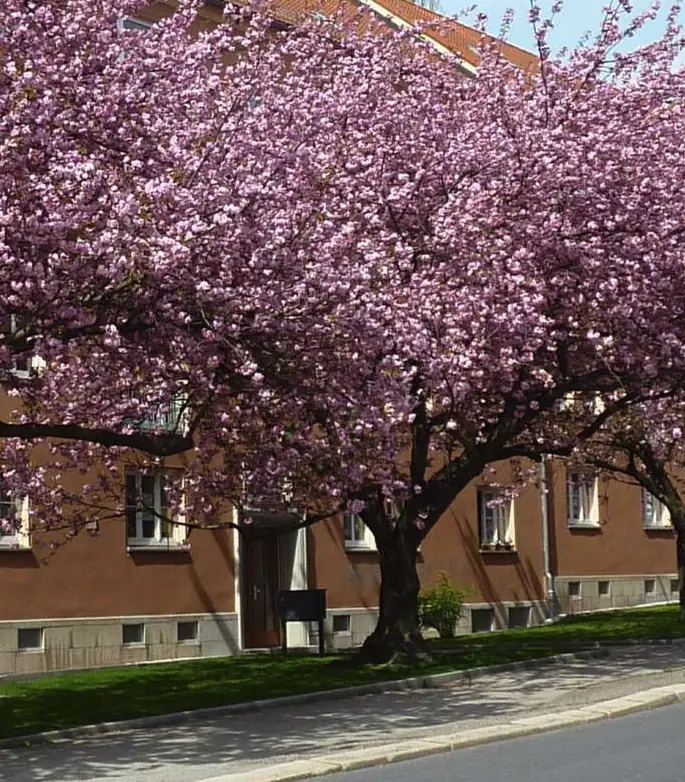 Mietwohnung in 09126 Chemnitz