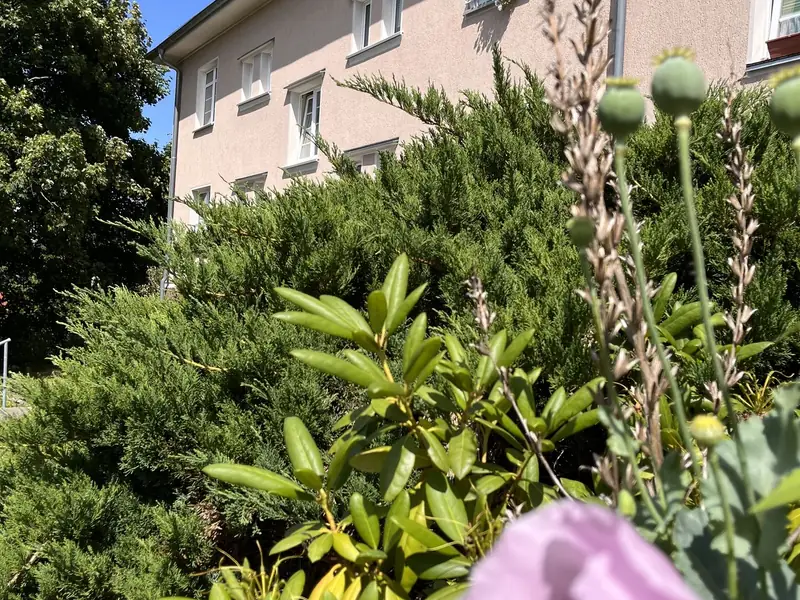 Modern Living · Barrierefreie Traumwohnung mit Parkplatz vor der Haustür