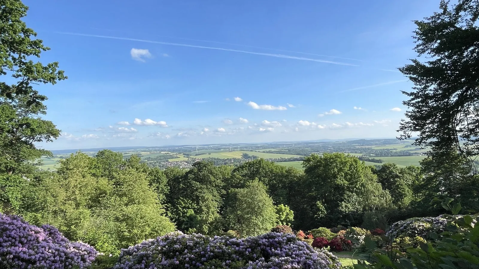 Estate agent Hohenstein-Ernstthal