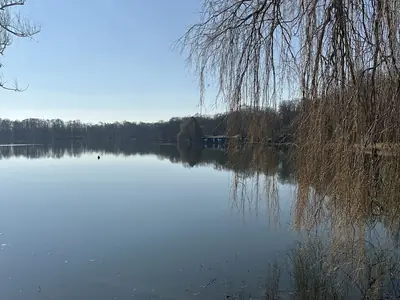 Immobilien in Zwickau